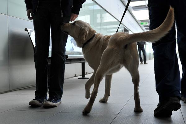 RPD Alfie sniffing a person