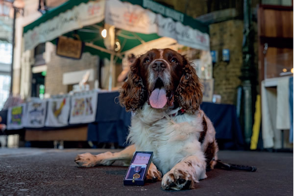 RPD Casper at Borough Market with his PDSA Order of Merit Award