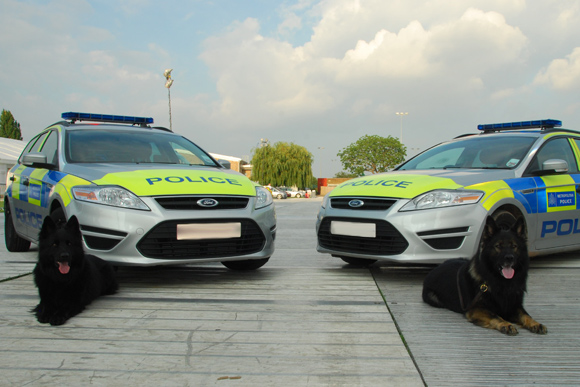 2 dogs each in front of a police car